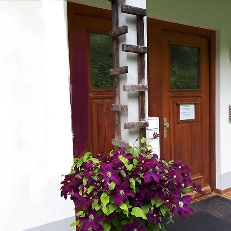 Ferienapartment 38 Sonnenwald Oberlangfurth Kültér fotó
