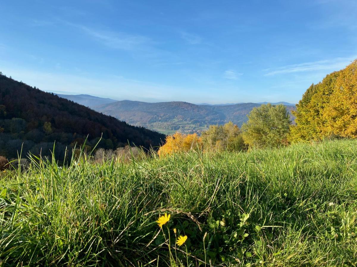 Ferienapartment 38 Sonnenwald Oberlangfurth Kültér fotó