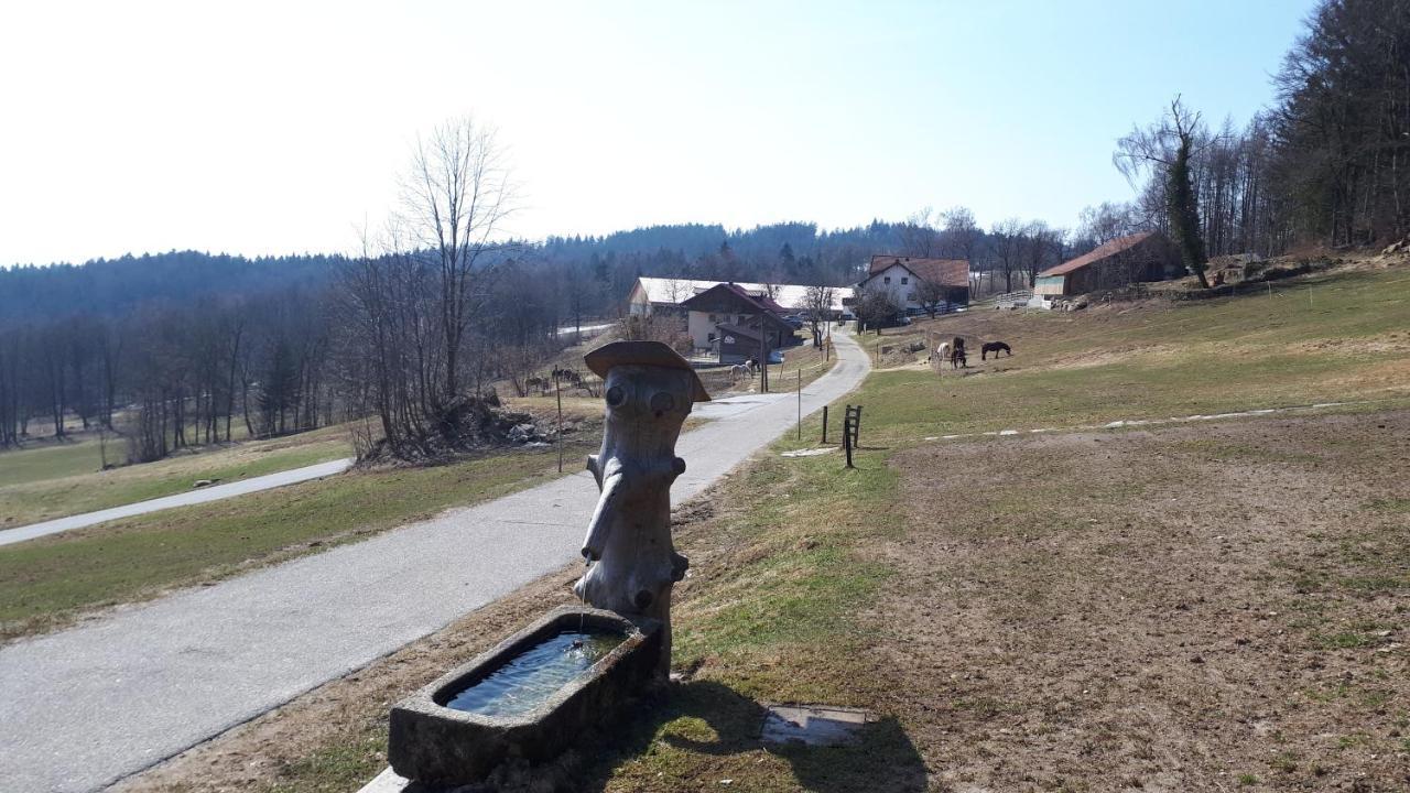 Ferienapartment 38 Sonnenwald Oberlangfurth Kültér fotó