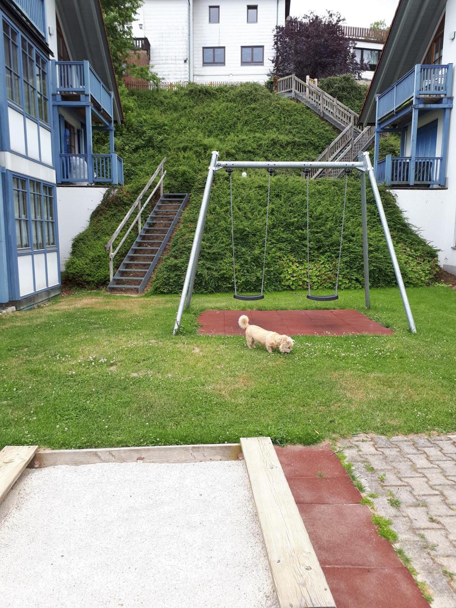 Ferienapartment 38 Sonnenwald Oberlangfurth Kültér fotó