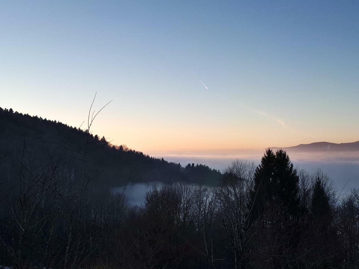 Ferienapartment 38 Sonnenwald Oberlangfurth Kültér fotó