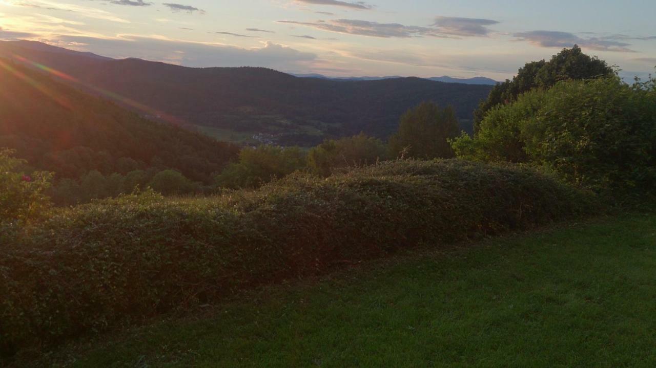 Ferienapartment 38 Sonnenwald Oberlangfurth Kültér fotó