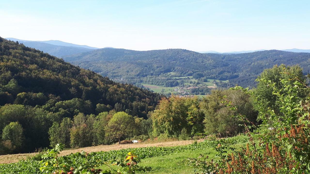 Ferienapartment 38 Sonnenwald Oberlangfurth Kültér fotó